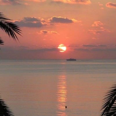 Malala Yousafzai avatar